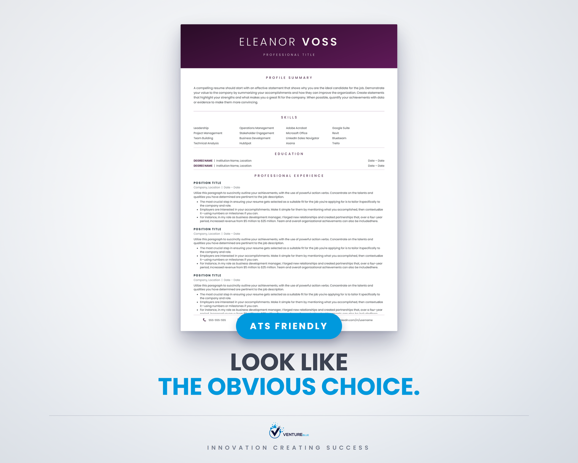 Eleanor Voss CV template 01