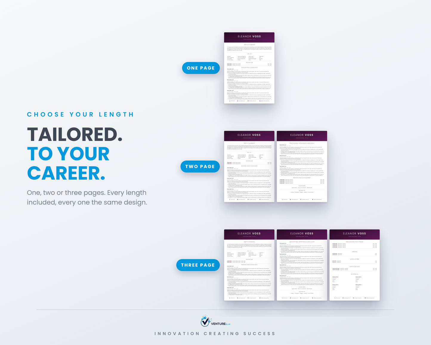 Eleanor Voss CV template 06