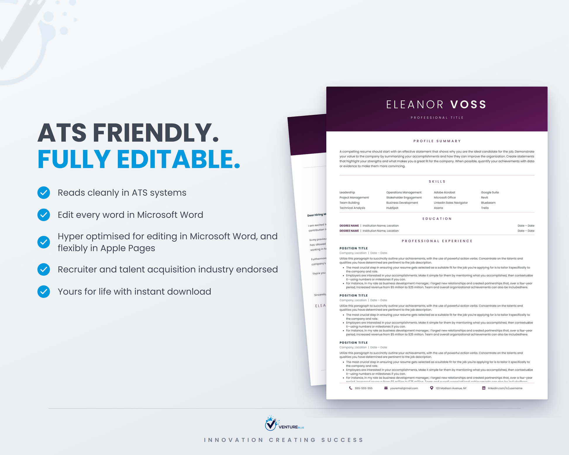 Eleanor Voss CV template 08