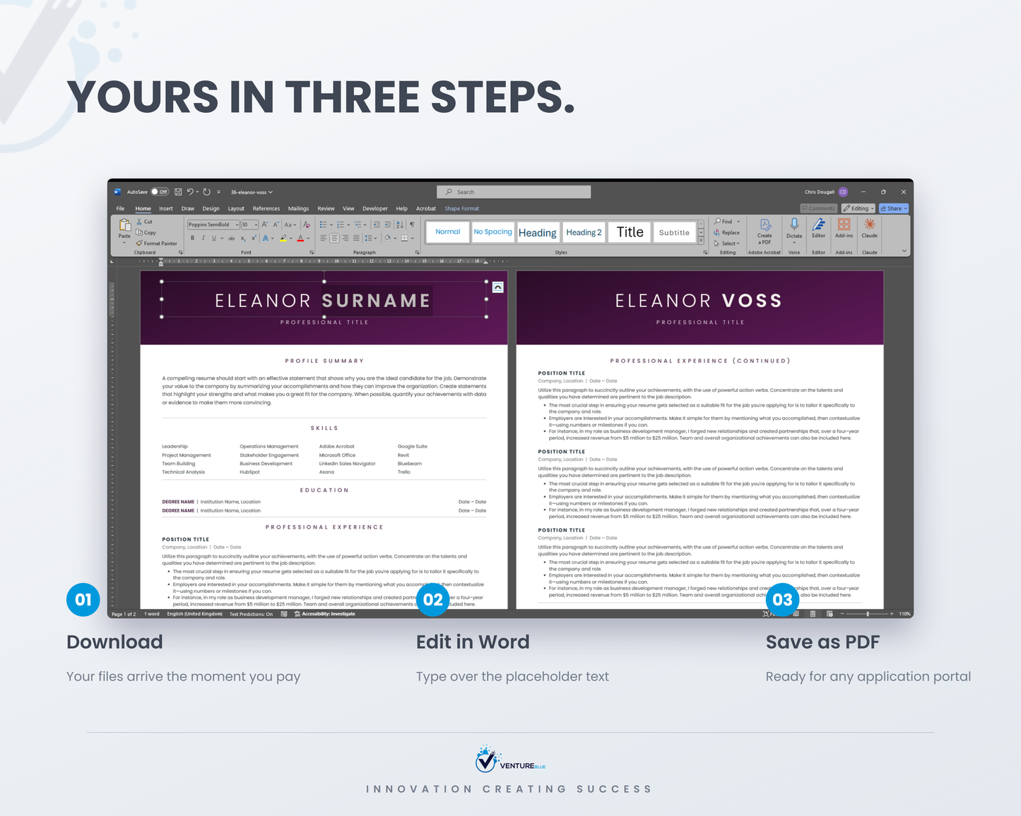 Eleanor Voss CV template 11