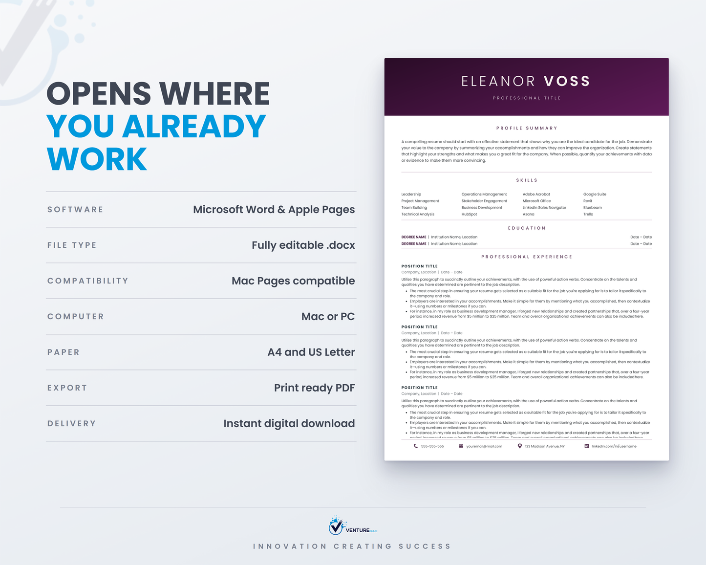 Eleanor Voss CV template 12