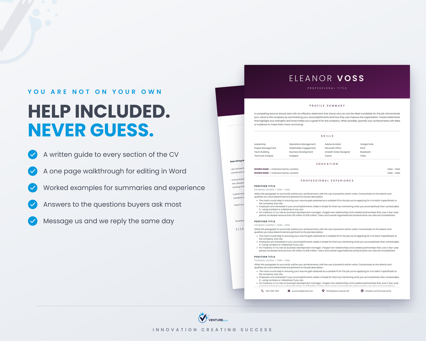 Eleanor Voss CV template 15