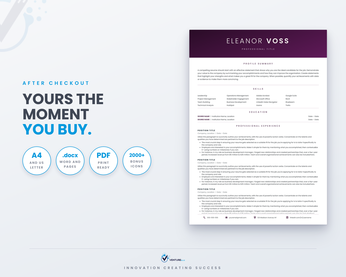 Eleanor Voss CV template 19