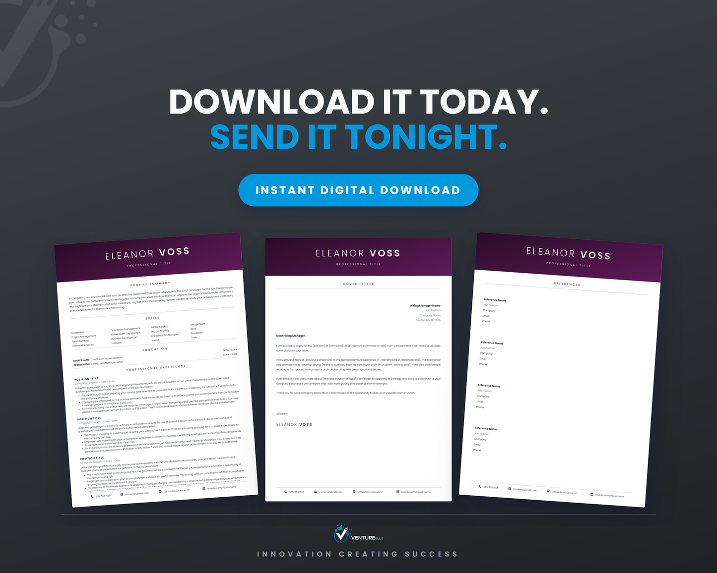 Eleanor Voss CV template 20