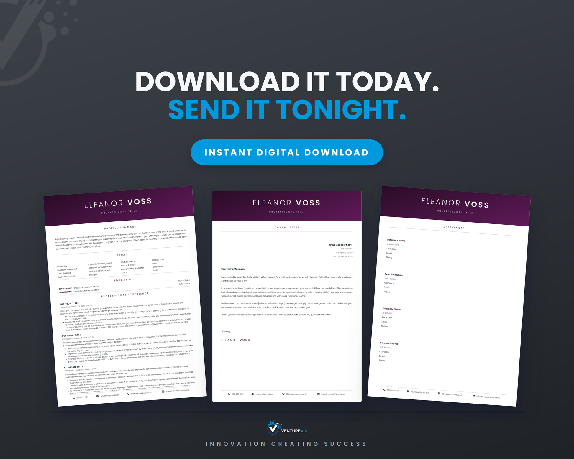 Eleanor Voss CV template 20