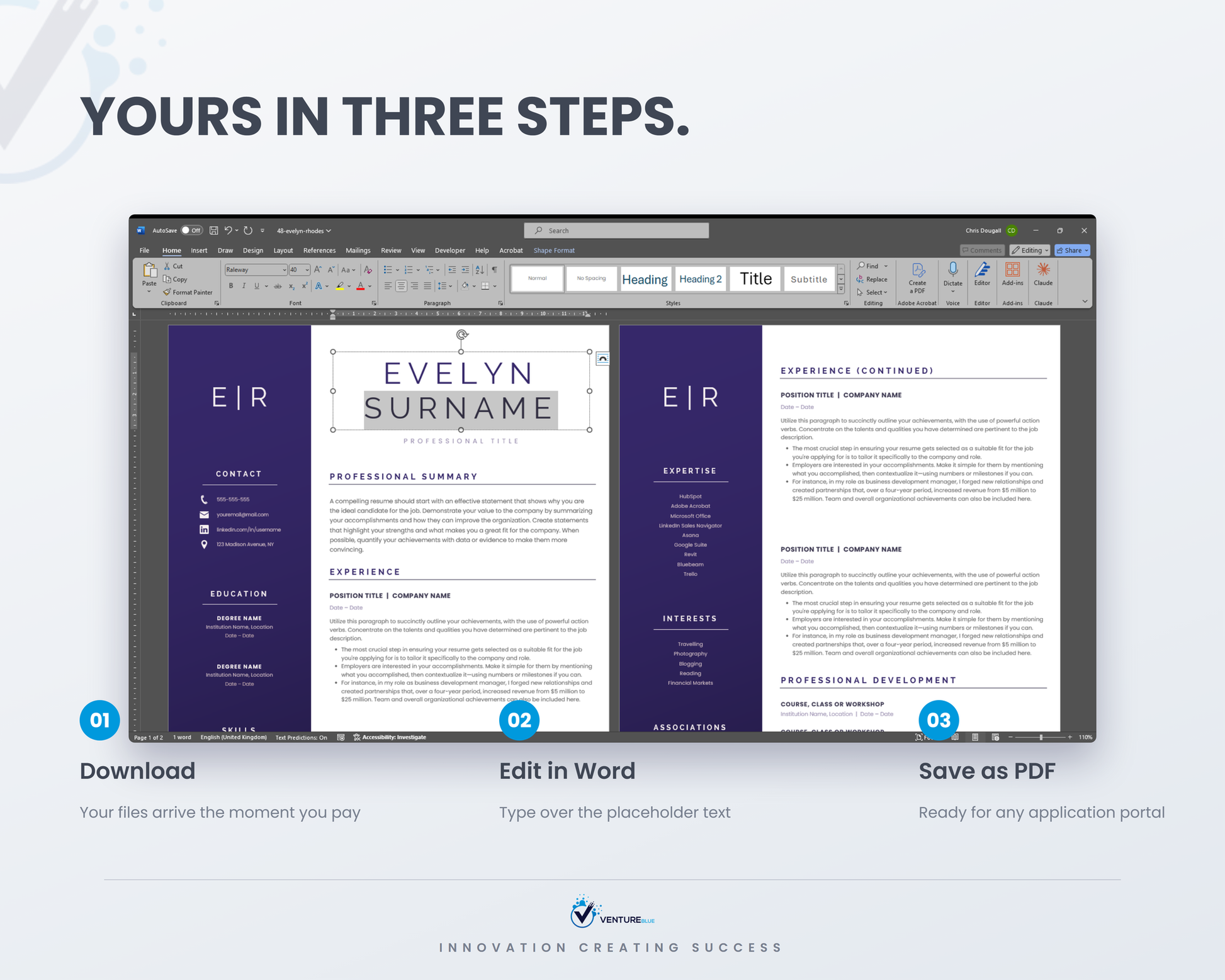 Evelyn Rhodes CV template 11
