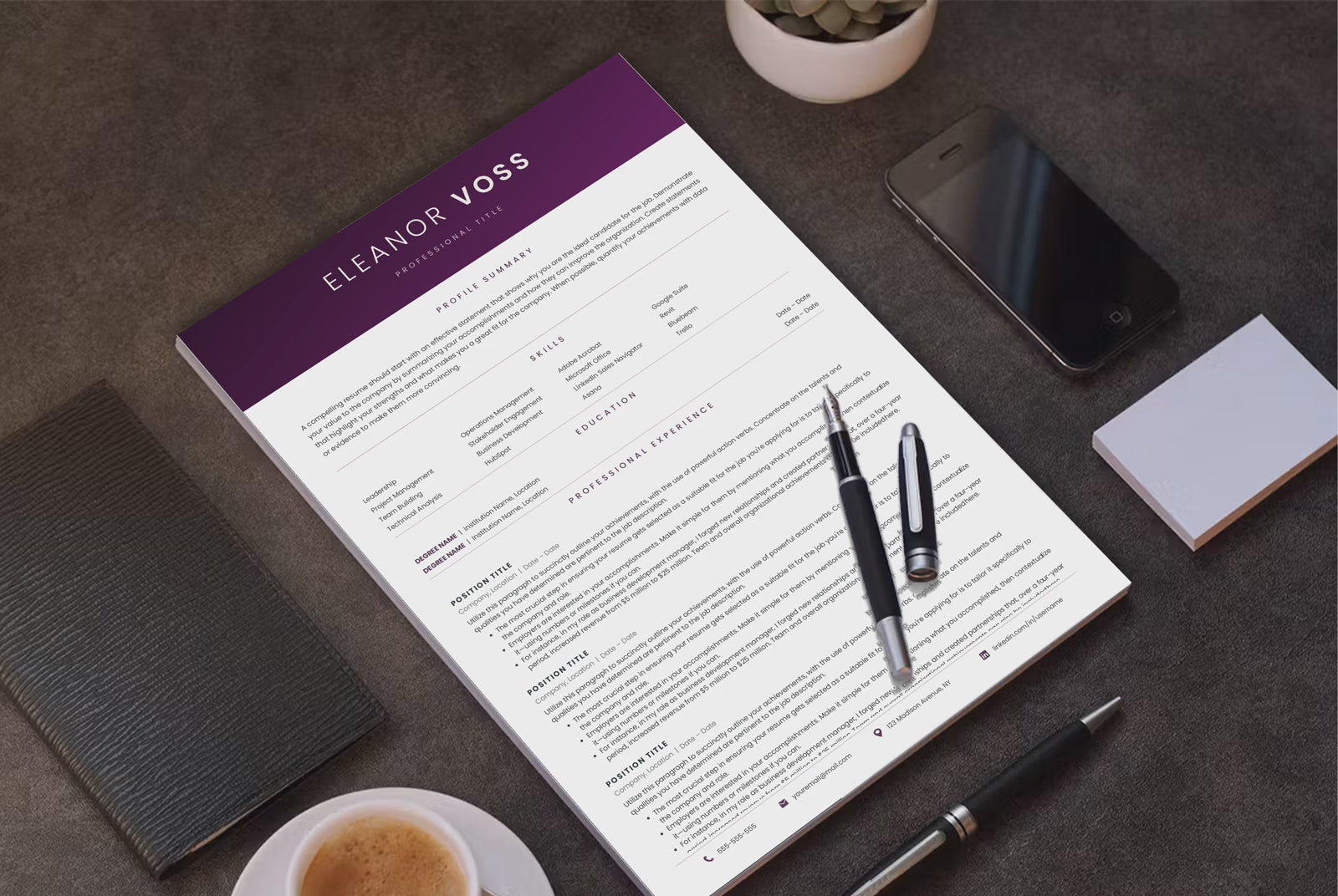 Eleanor Voss CV template video